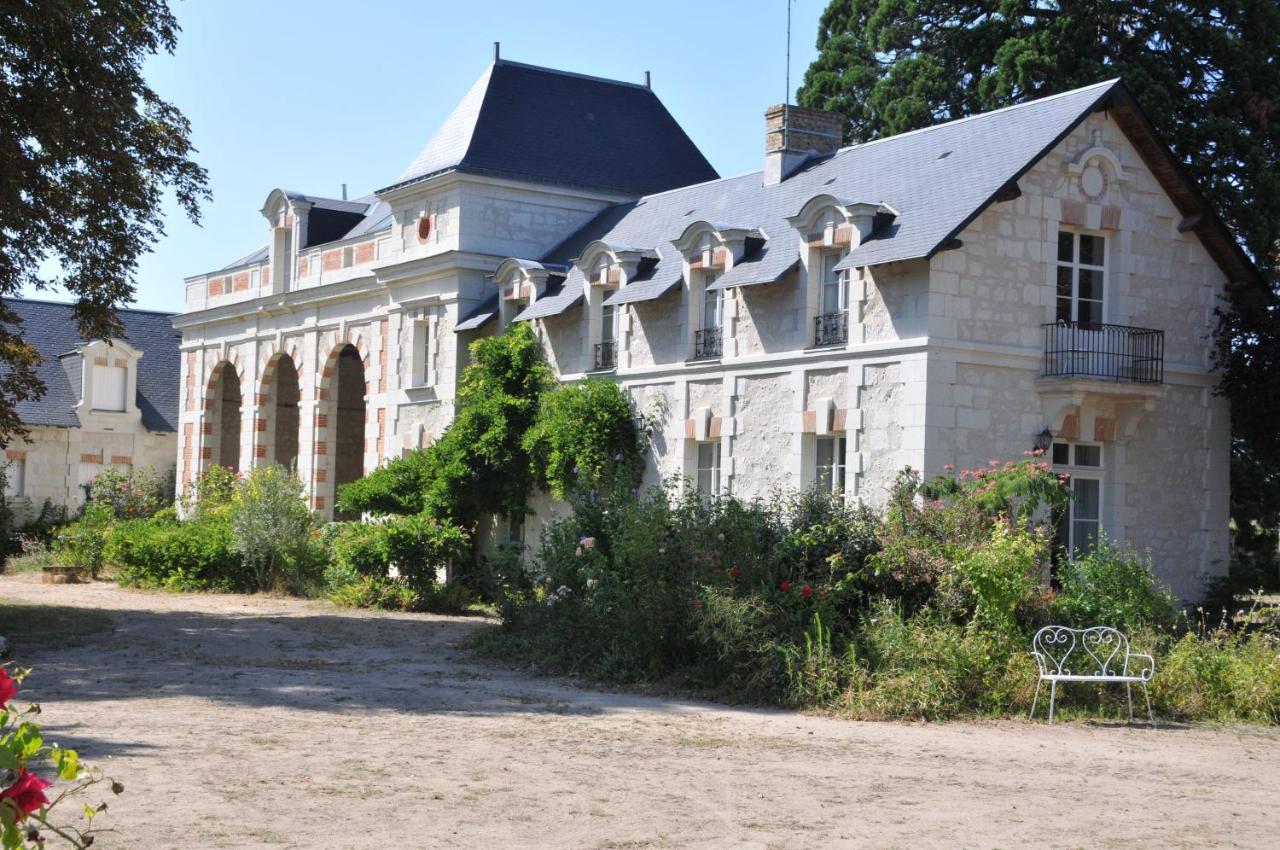 Brain-sur-Allonnes L'Orangerie Du Chateau - Le Nid - Gite 2 Personnes מראה חיצוני תמונה